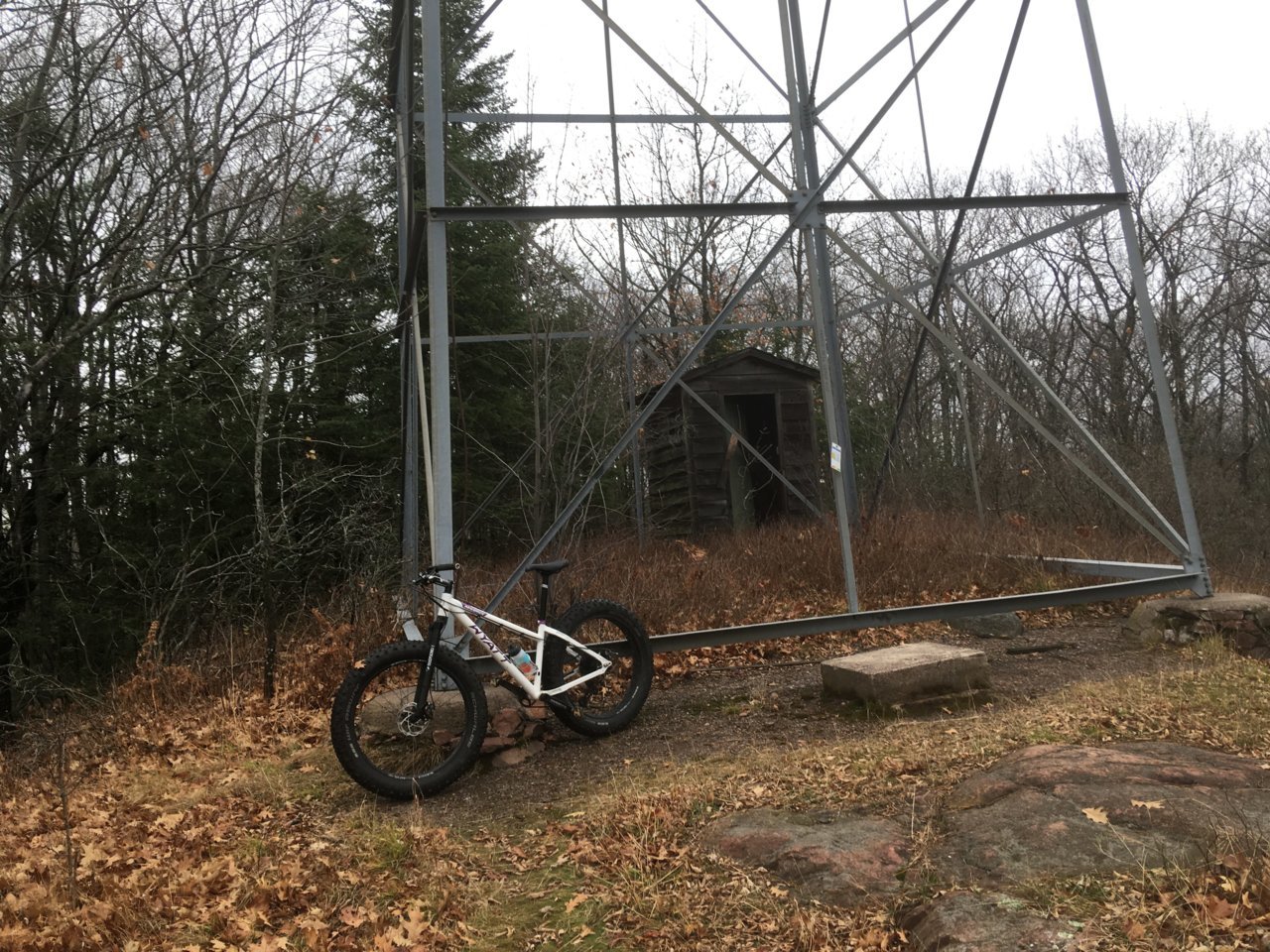 LMT w bike.jpg