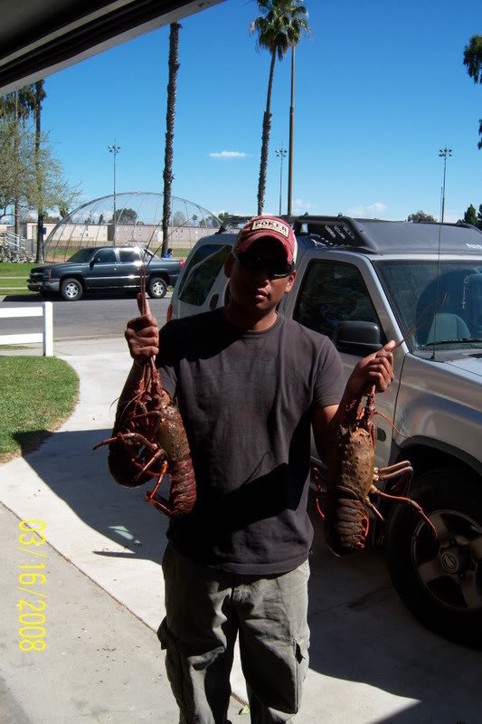 lobsters_ea01aeed9c851e6d15bebc5687ff094eddeab7e7.jpg