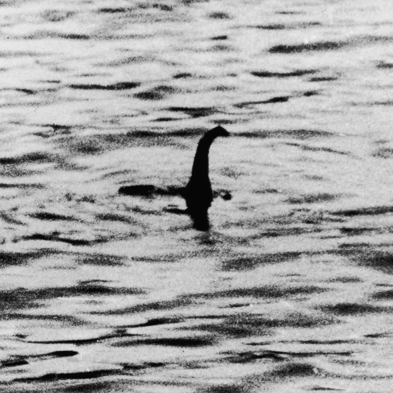 lochnessmonster.0.0.jpg