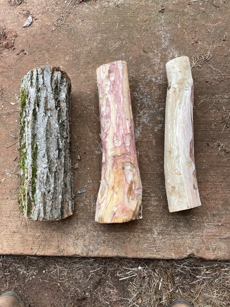 log bench 4.jpg