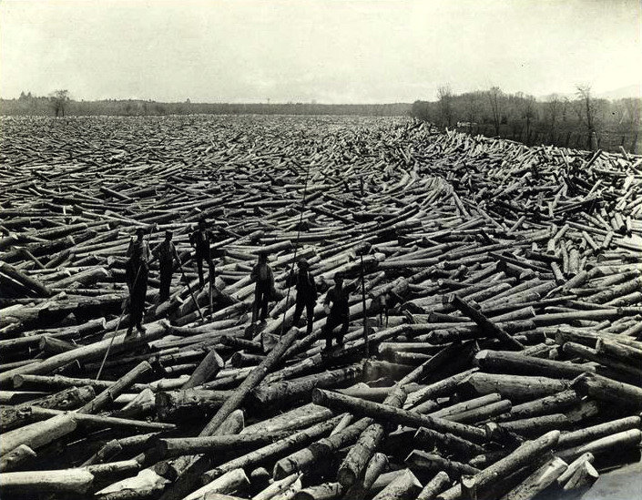 log-jam.jpg