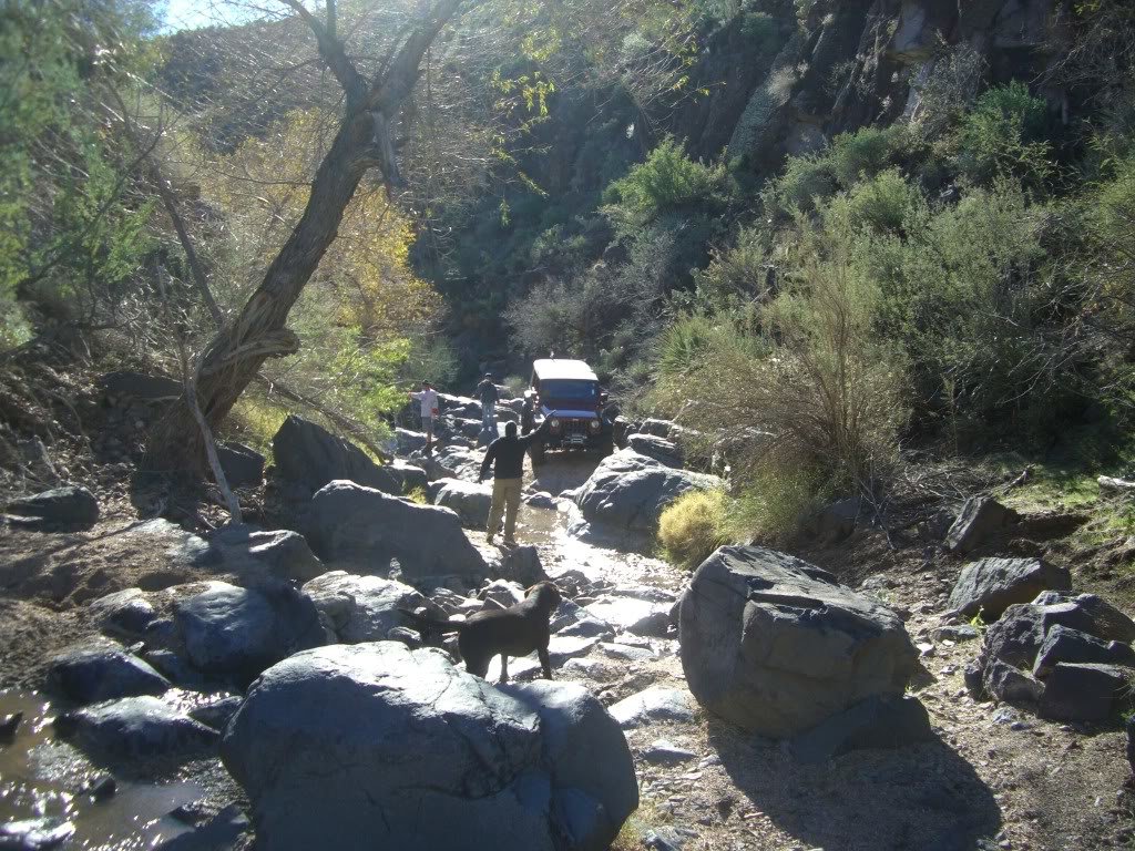 LogCorralPowerlinetrail1-1-11018_428ffd506f0ea2d32eeede3206b838b7ffc8b87c.jpg