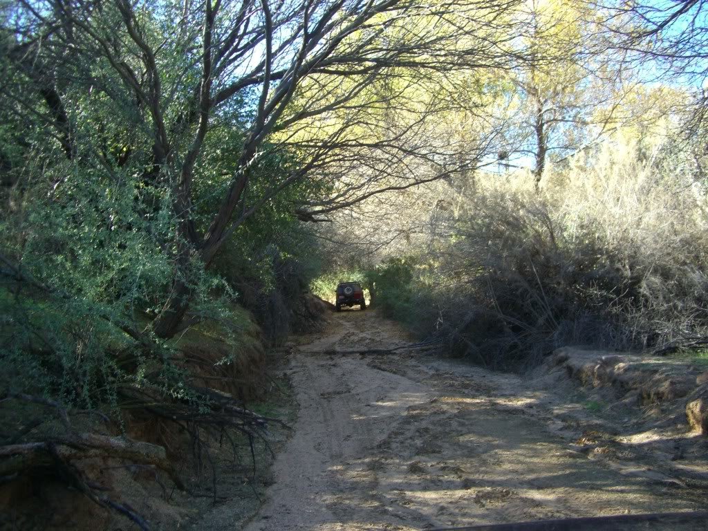 LogCorralPowerlinetrail1-1-11057_b0aa5963a8ee85a305f2b2cf6d1948755257078f.jpg
