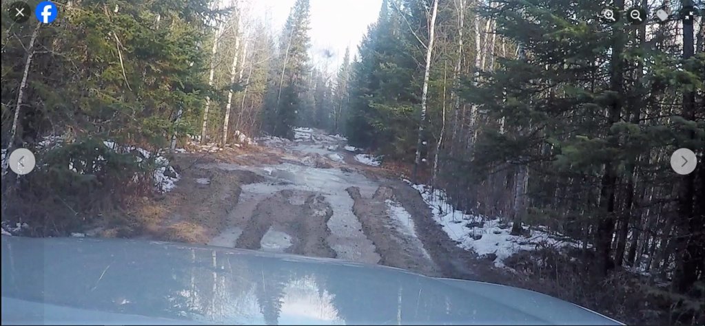 LOgging road.jpg
