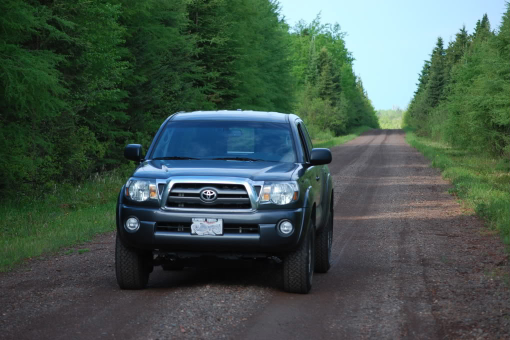 loggingroad-1_8638af1baef9aca7f3ffce5e0df737feef7b5cb4.jpg