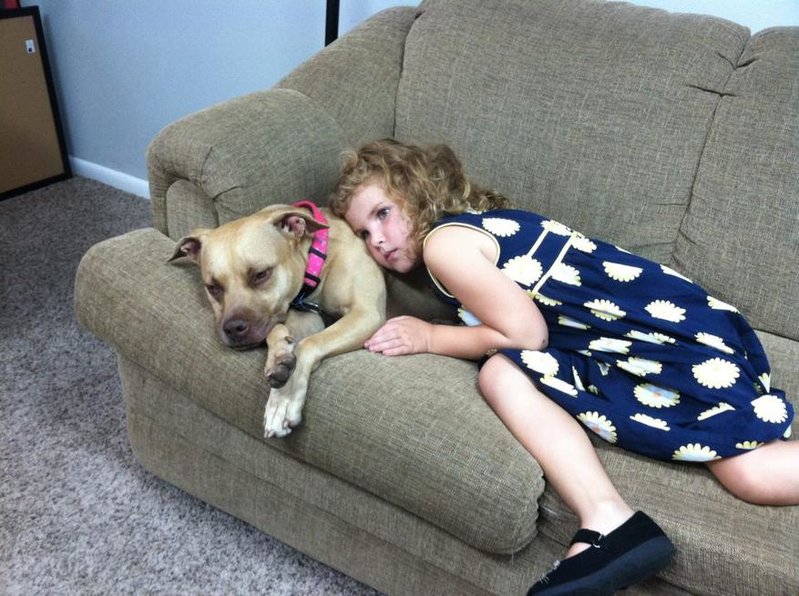 loladog1.jpg