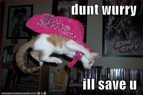 lolcat112509_778093283da08d187a7550341e4b9fe761f99a59.jpg