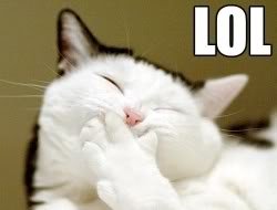 LOLcat_10efee7e6afdc2e01778d69aa92ac11268fcd8ae.jpg