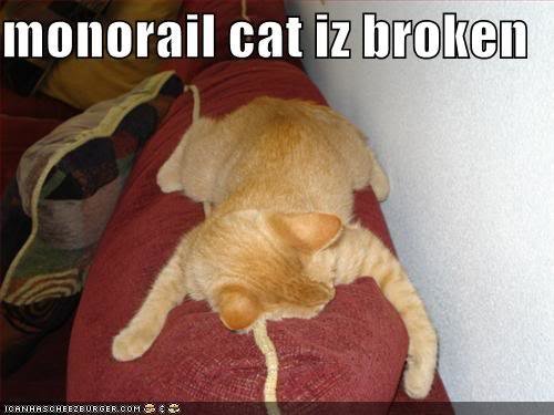 lolcat_6b13ca05972e450d8fde16d6aaba9cae068a04cf.jpg