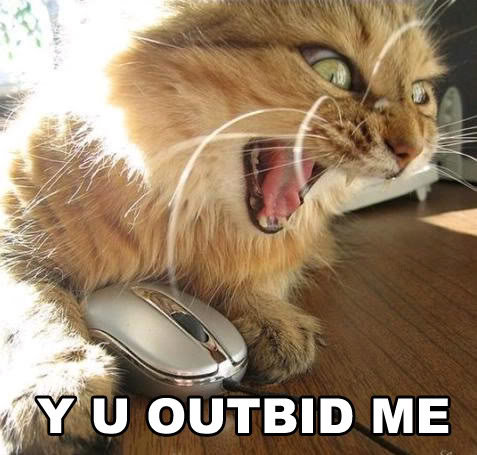 lolcat_effdb2d8e40733865cff7f17ca5e408f5e362399.jpg