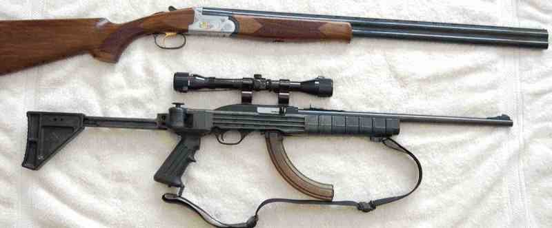 Long-Guns.jpg