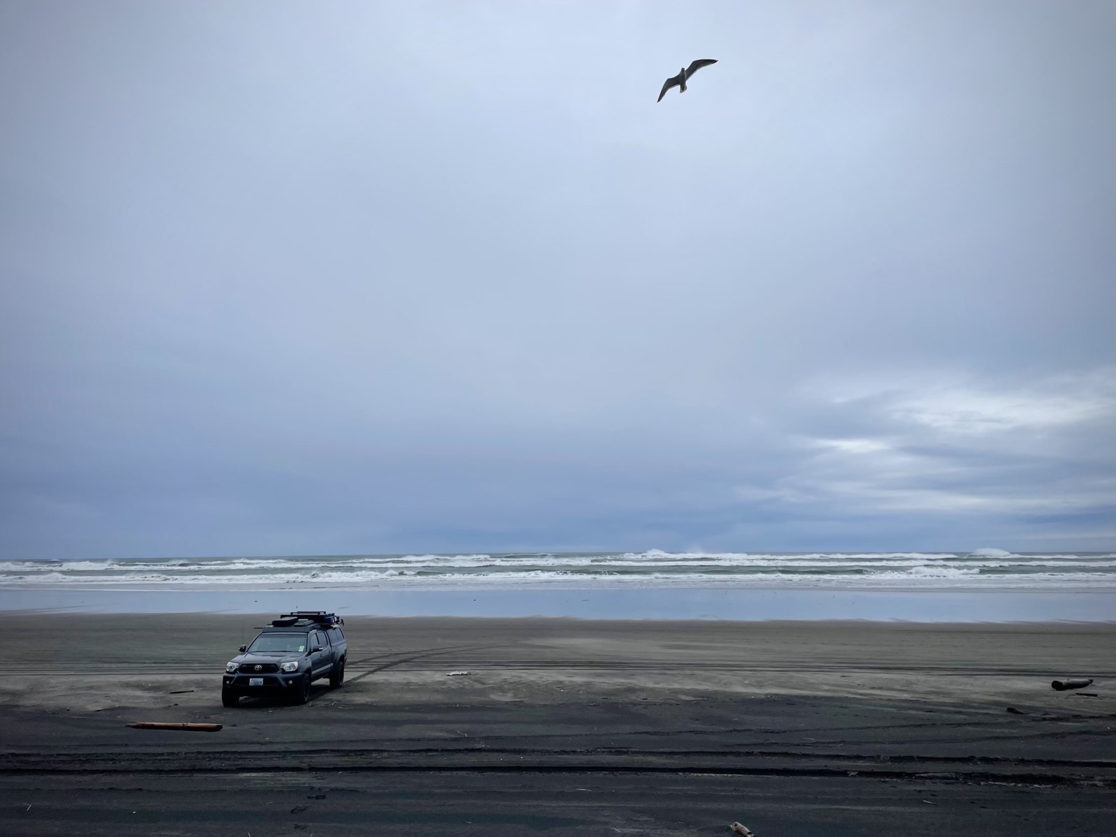 LongBeachWA.jpg