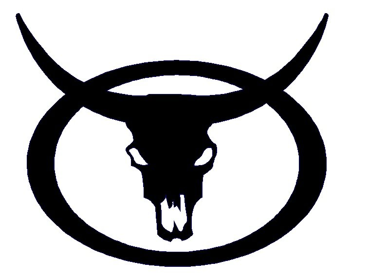 longhornconcept_0bed5add72290302b85b7ad1670b7735a5bfad3d.jpg