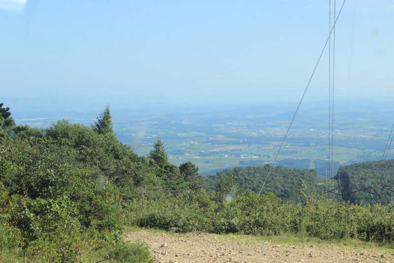 Lookout From the Power Lines.jpg
