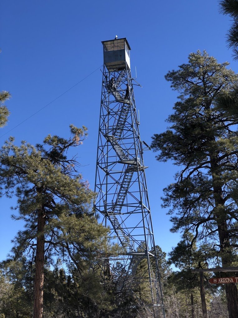 lookout.jpg