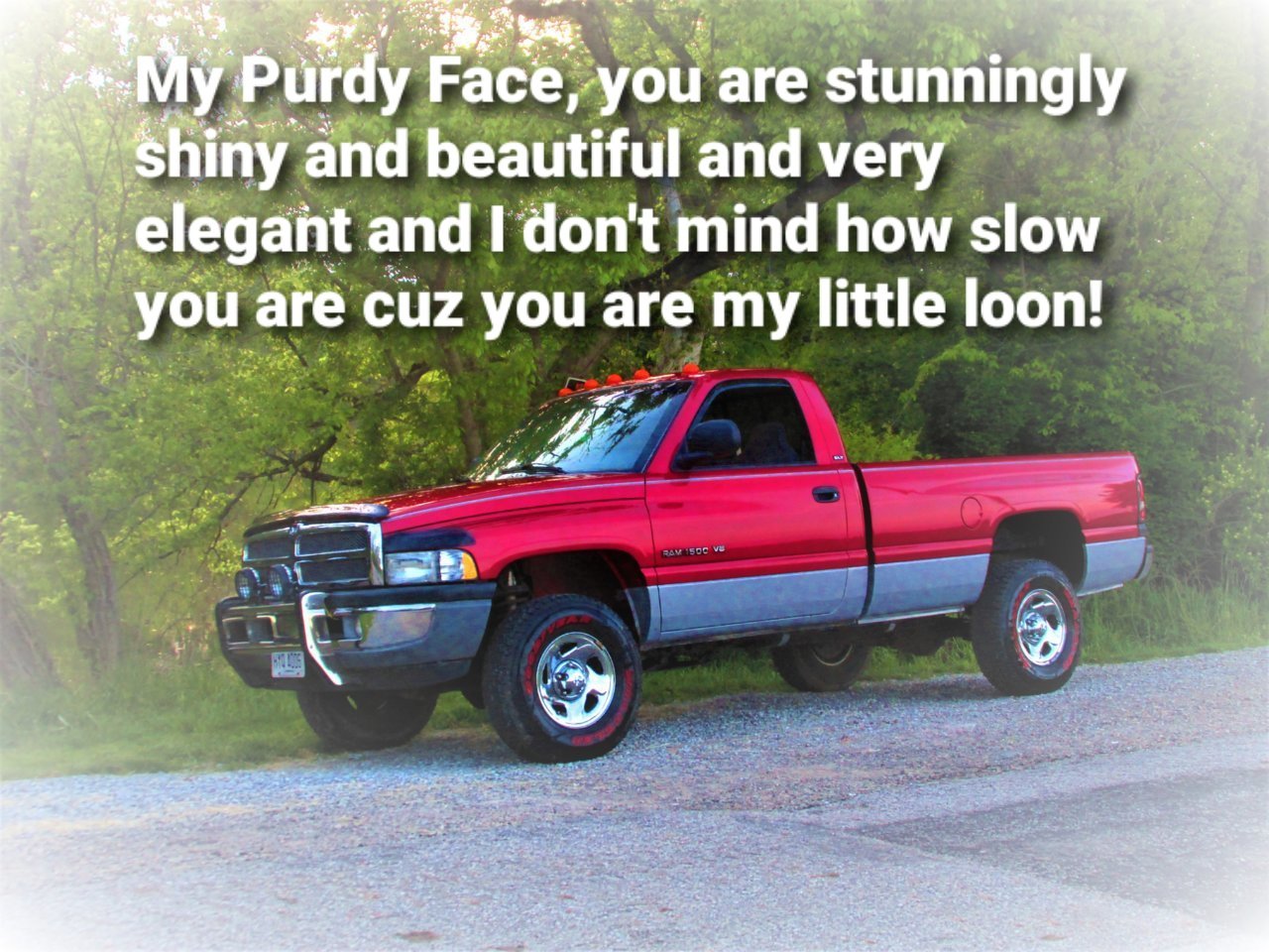 loon.jpg