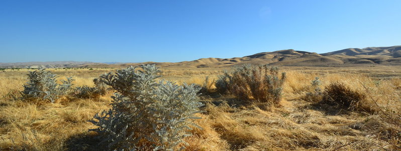 Los Banos.jpg