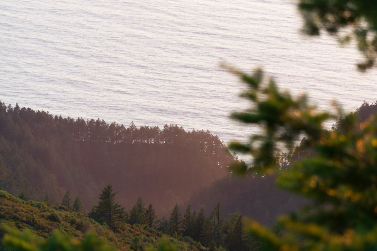 Lost Coast 10-2021-5.jpg