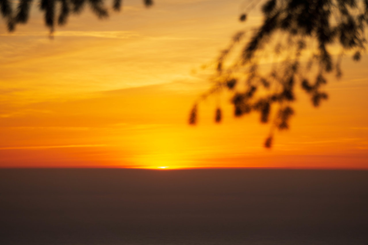 Lost Coast 10-2021-6.jpg