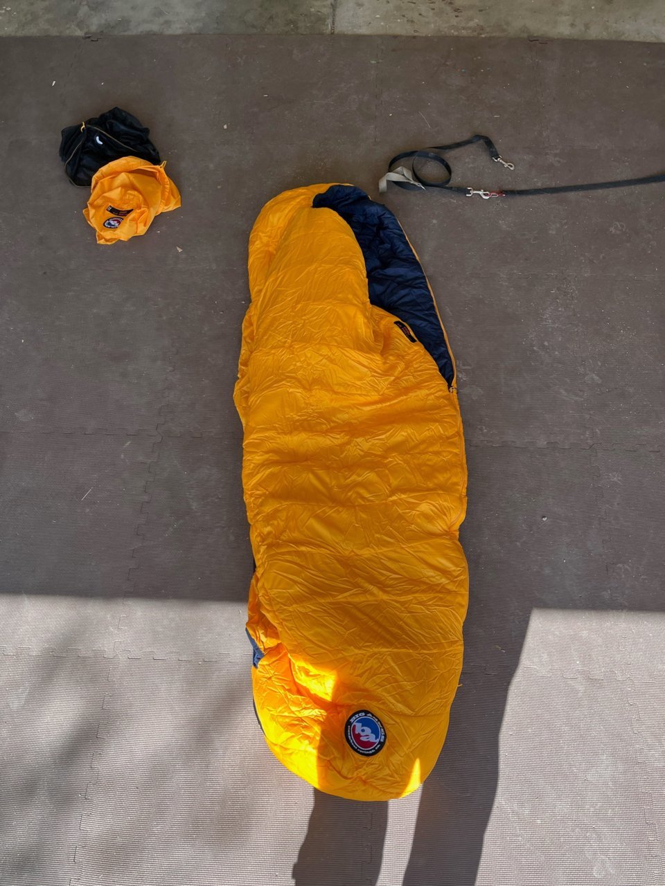 Lost dog 0.jpg