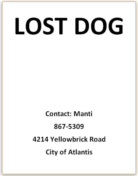 LOST DOG.jpg