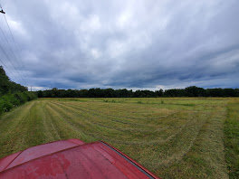 lot1.jpg