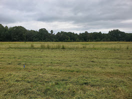 lot2.jpg
