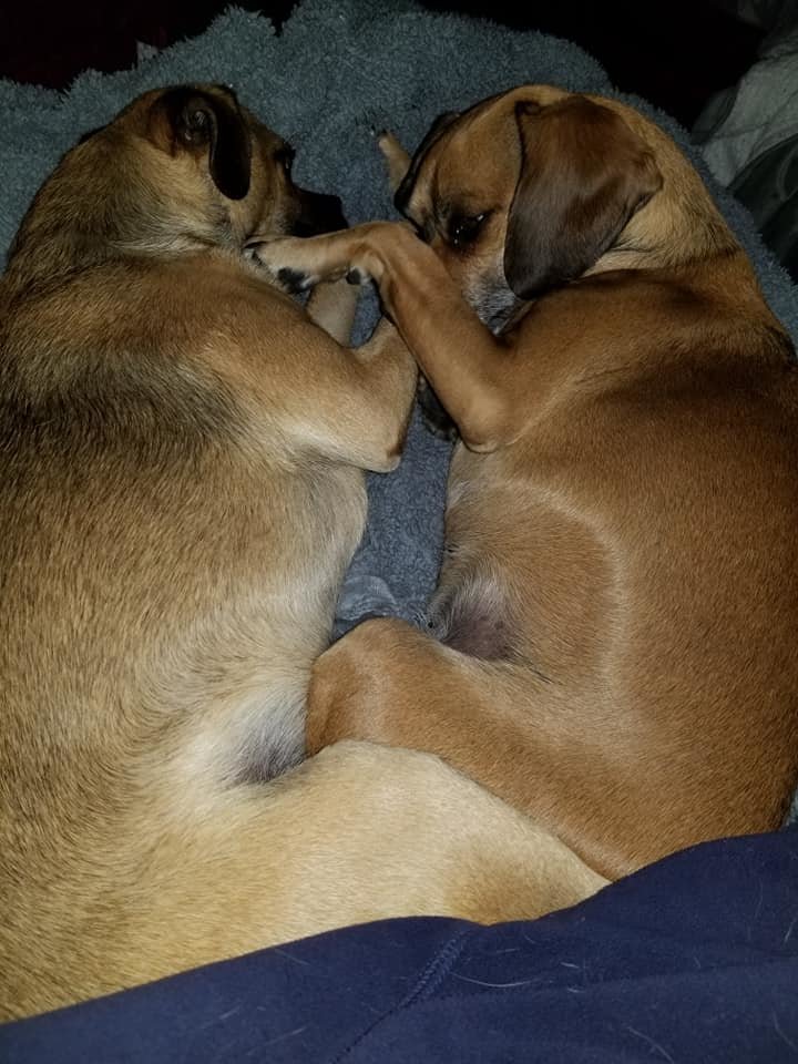 Louie&Gemma.jpg
