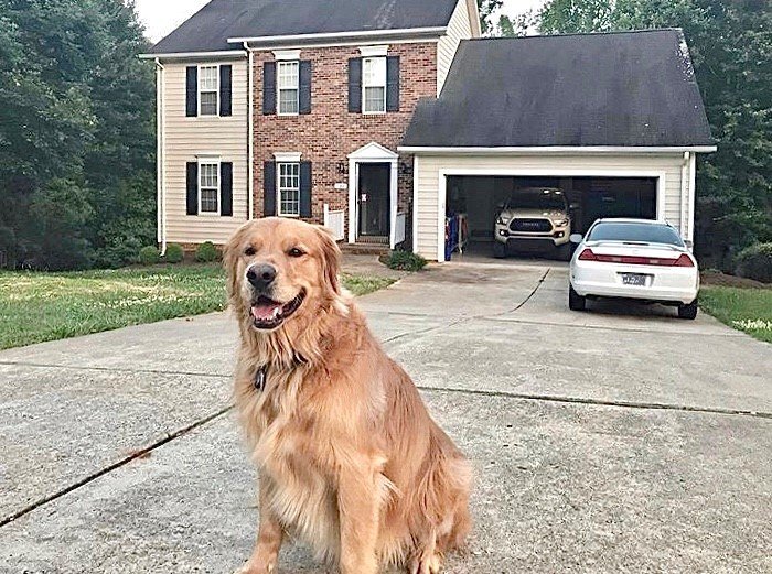 Louie.jpg