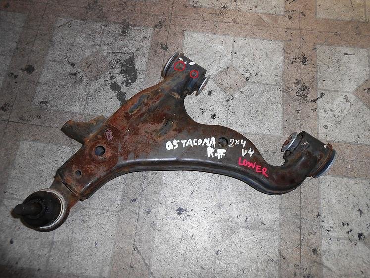 lower arm.jpg