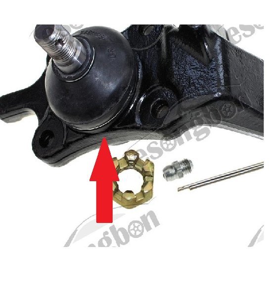 lower ball joint.jpg
