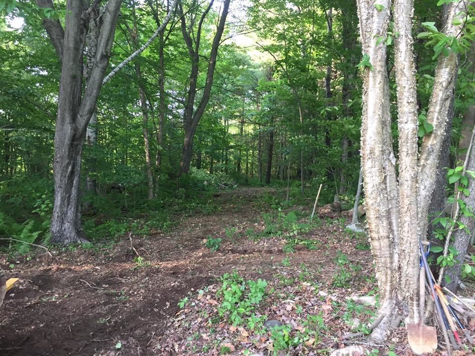 Lower Lot.jpg