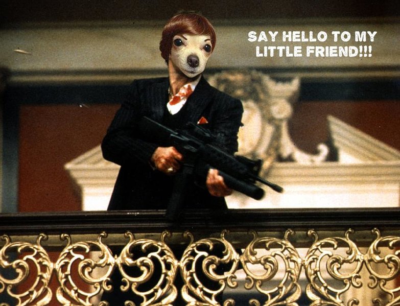 lscoseescarface.jpg