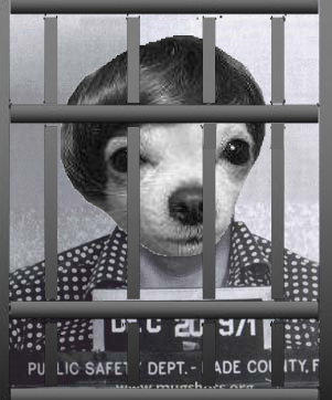lsocoee_doghouse.jpg