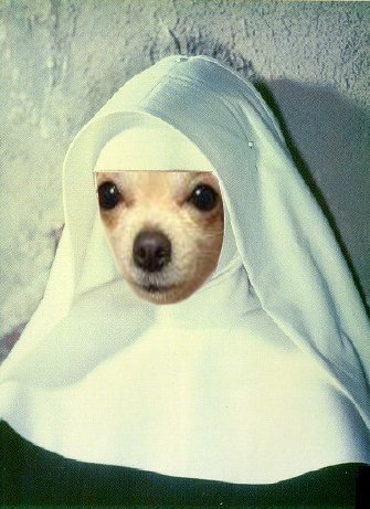 lsocoee_nun.jpg