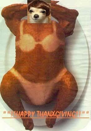 lsocoeethanksgiving_857eb0df8d7a449c63d173640312e81f56993677.jpg