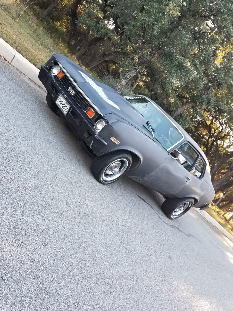 lsx.jpg