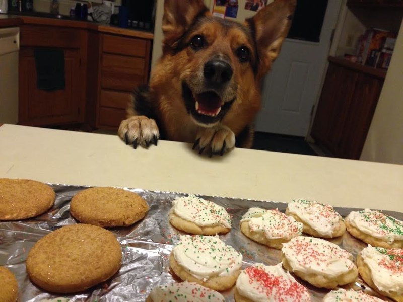 LukeCookies.jpg