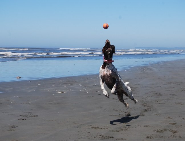 lulujump_zps0dfa716b_e7505b9a6a1a39e44da8fdb3bf207af7e686887a.jpg