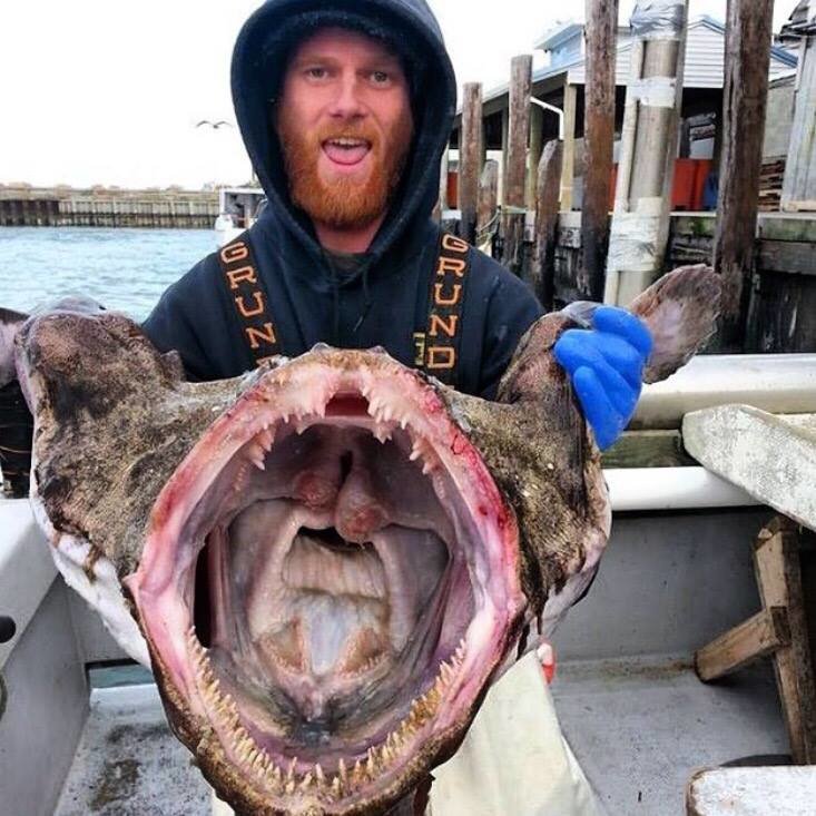 Lunch Monkfish.jpg