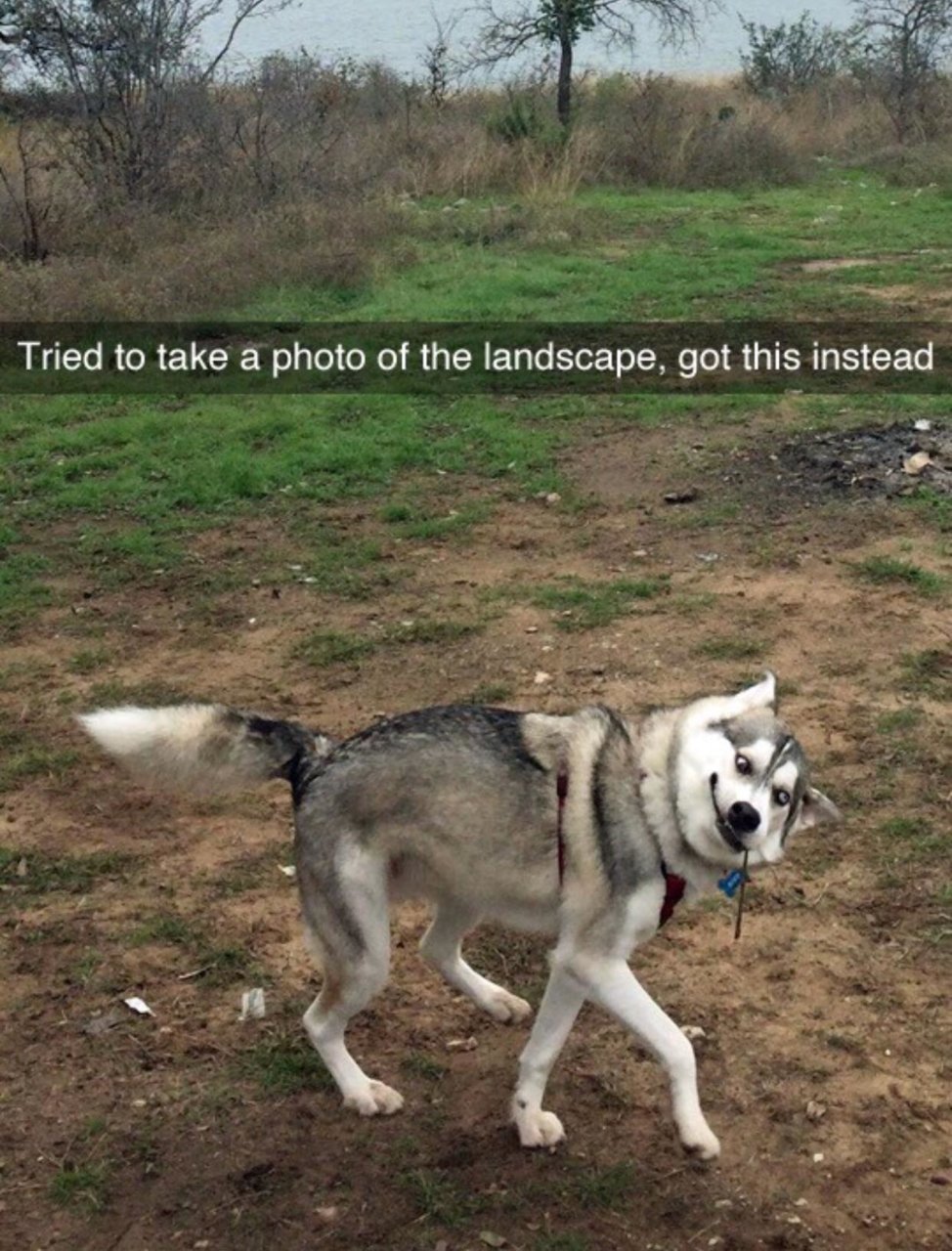 lxg0o3fxrc611.jpg