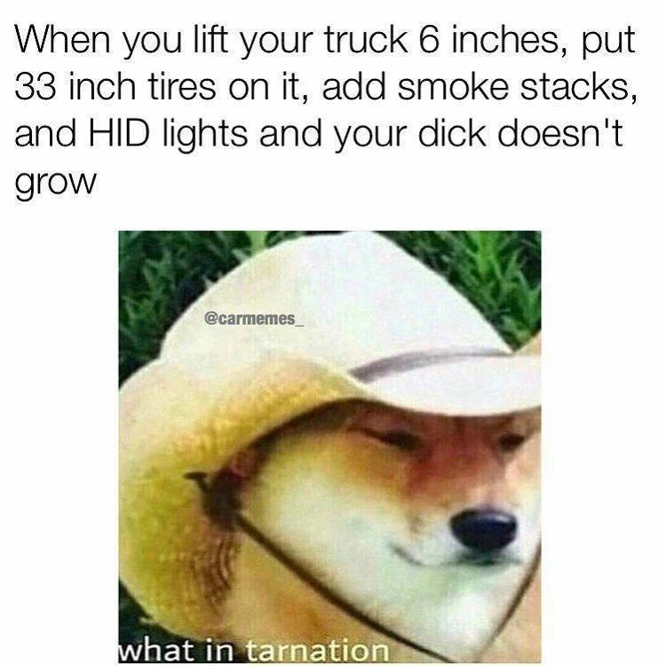 m4P9eRL_d.jpg