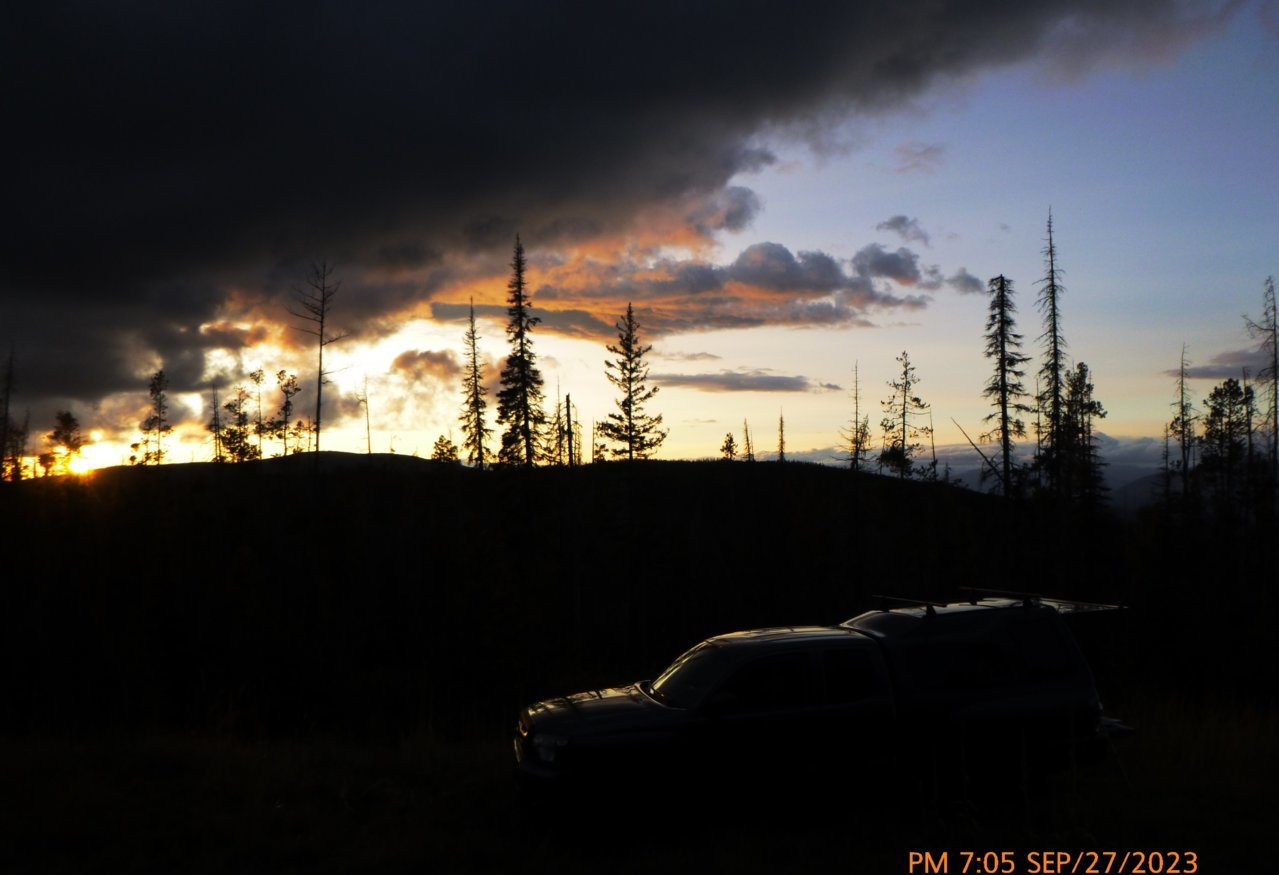 m5.jpg