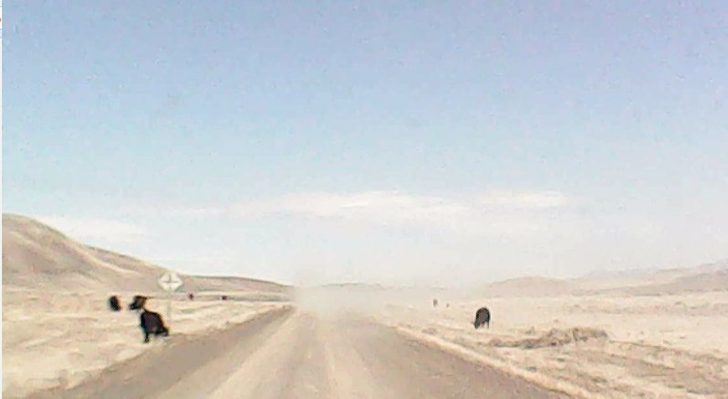 m6.jpg