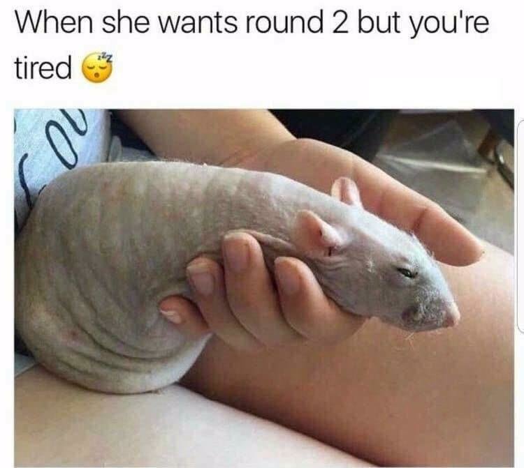 m6gnbaep7oq11.jpg