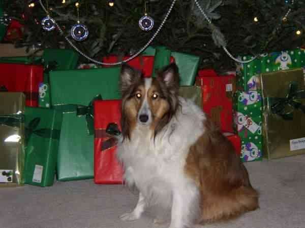 madison_5cf5cd7a03bd0178e2543b59cb508436e73da13c.jpg