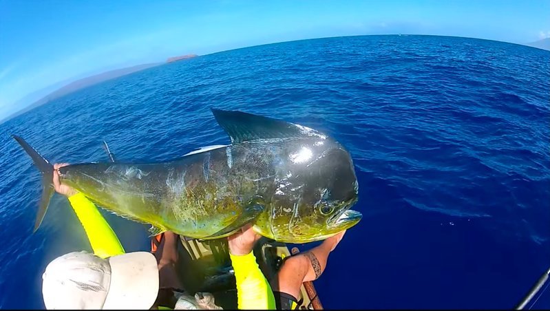 Mahi 34 (1) (1).jpg
