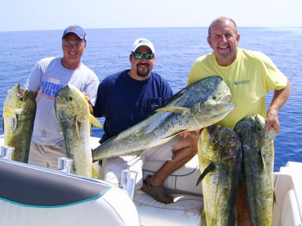 mahi.jpg