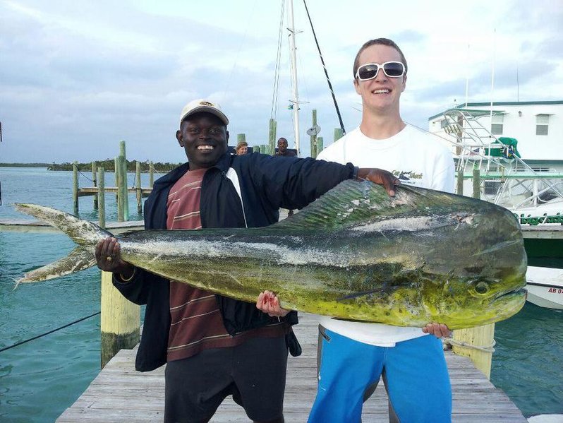 Mahi Mahi.jpg