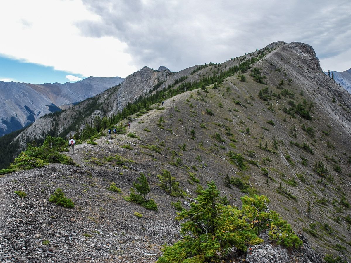 MAIN_Wasootch-Ridge-2015_DSC_0626.jpg
